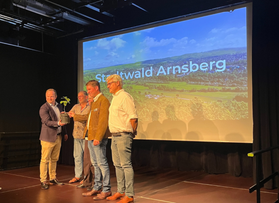Stadtwald Arnsberg