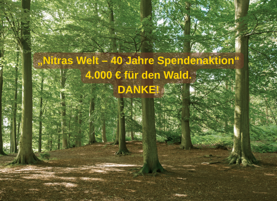 Nitras Spendenaktion für WaldLokal