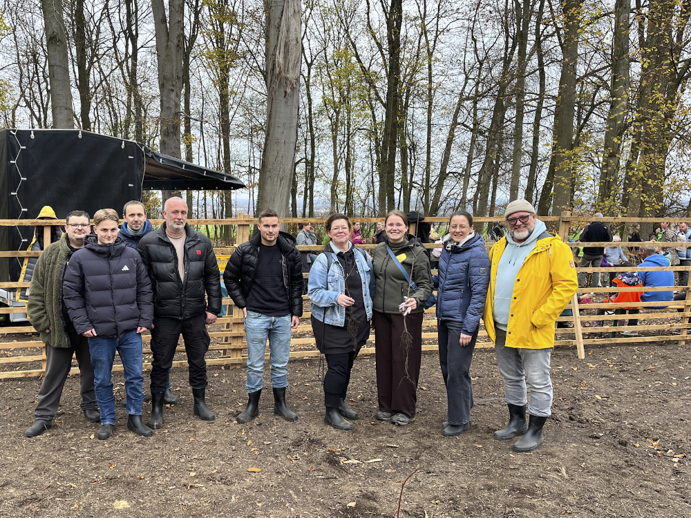 Pflanzfest Werl 1182015