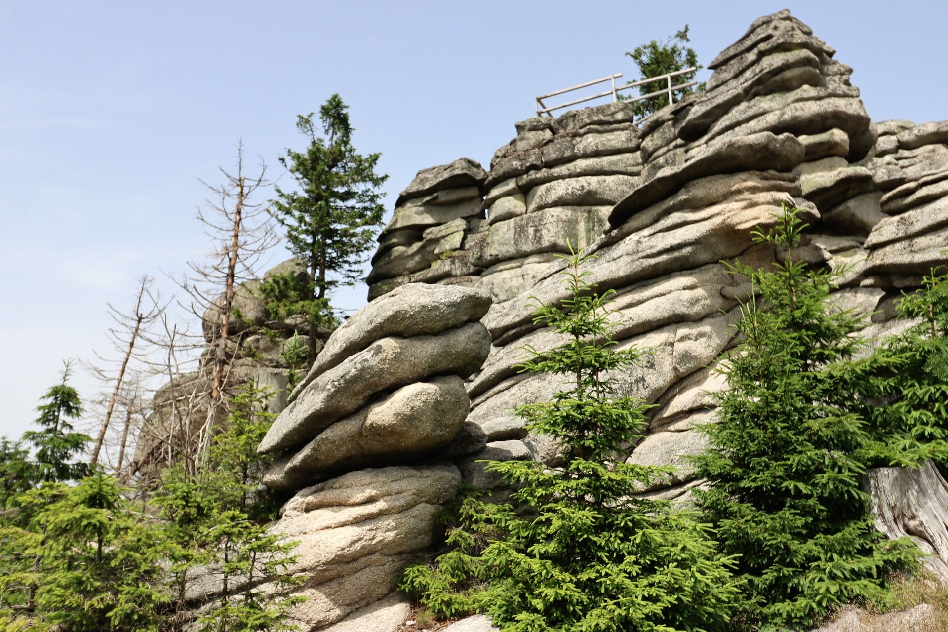 Der Wald und sein vielfältiges Ökosystem - Nationalpark