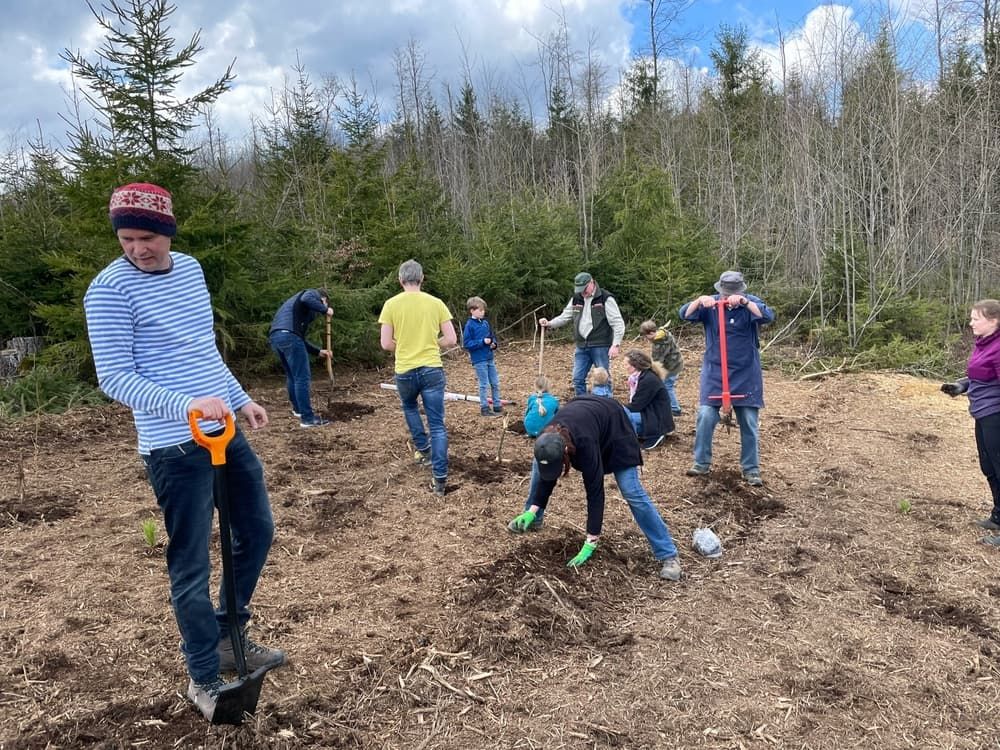 WaldLokal Medebach Pflanzfest 14.04.2023