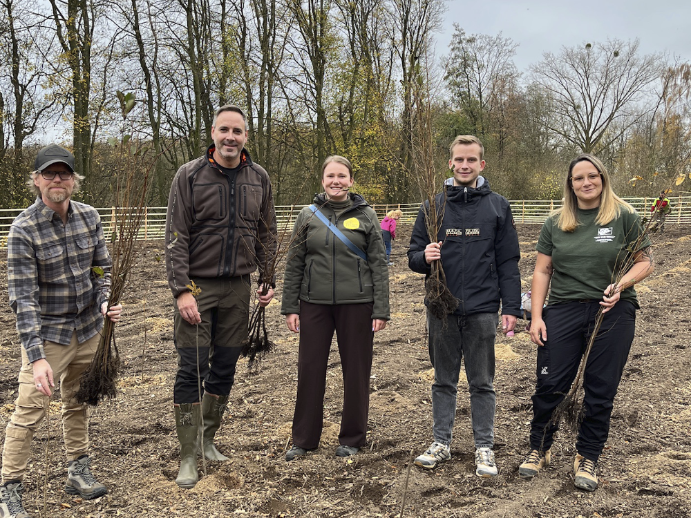 Pflanzfest Werl 1182015