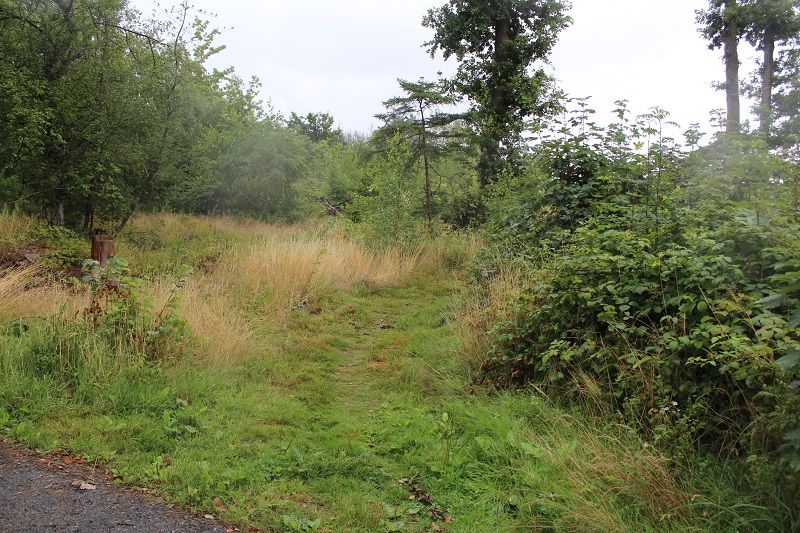 Wanderweg