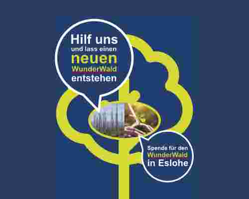 WunderWald Projekt